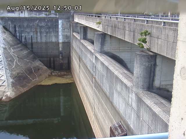 賀祥ダム２（上流）2025/08/15 14:00:00