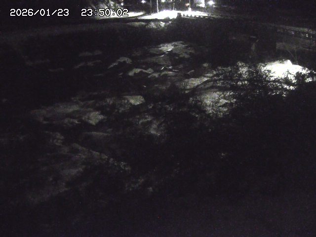 三徳川２2026/01/24 2:10:00