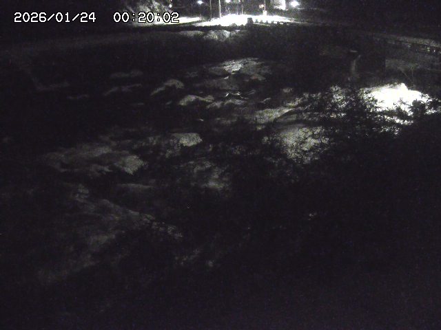 三徳川２2026/01/24 2:10:00