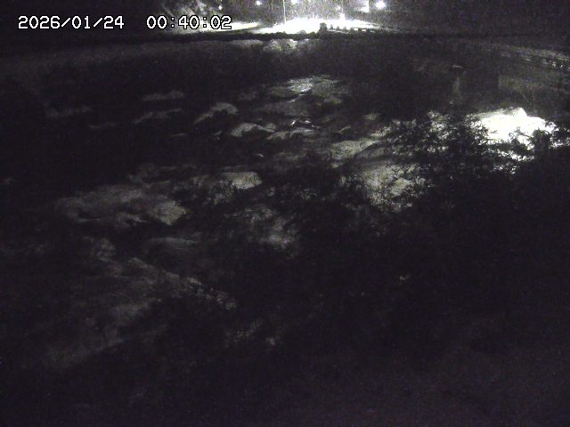 三徳川２2026/01/24 2:10:00