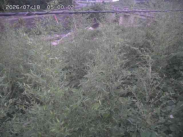 三徳川２2026/07/18 20:40:00
