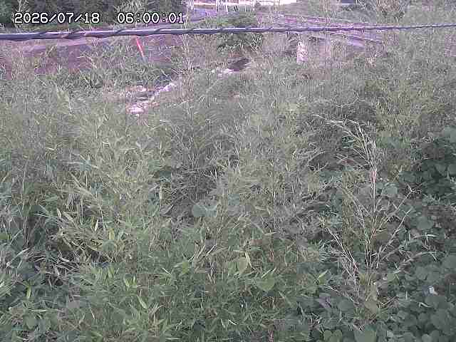 三徳川２2026/07/18 20:40:00