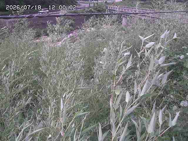 三徳川２2026/07/18 20:40:00