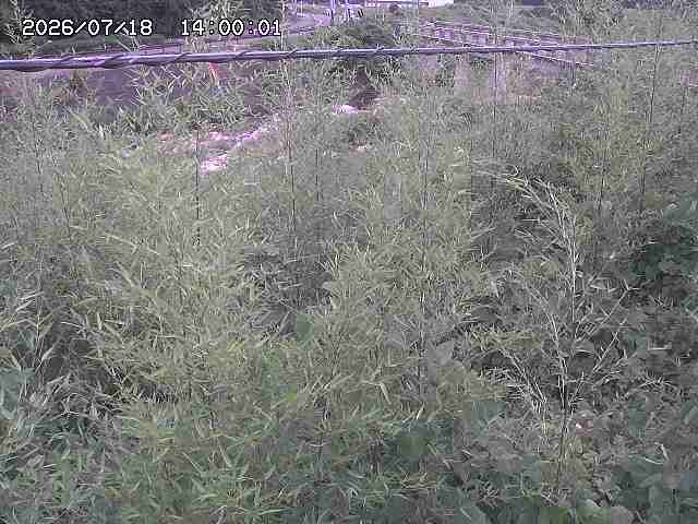 三徳川２2026/07/18 20:40:00