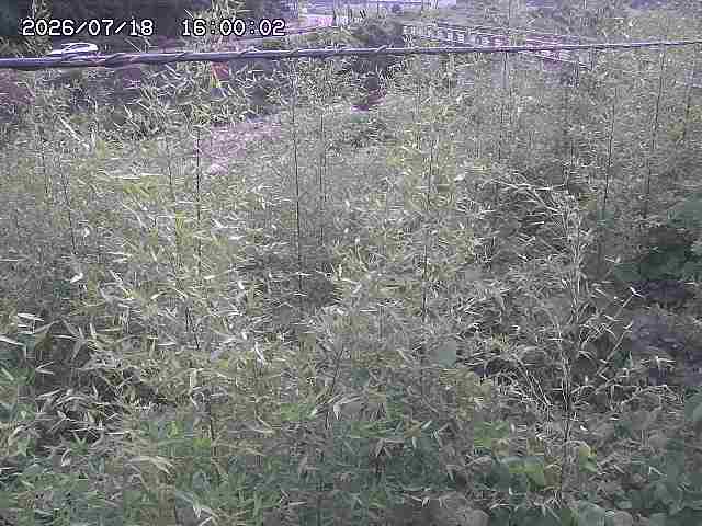 三徳川２2026/07/18 20:40:00