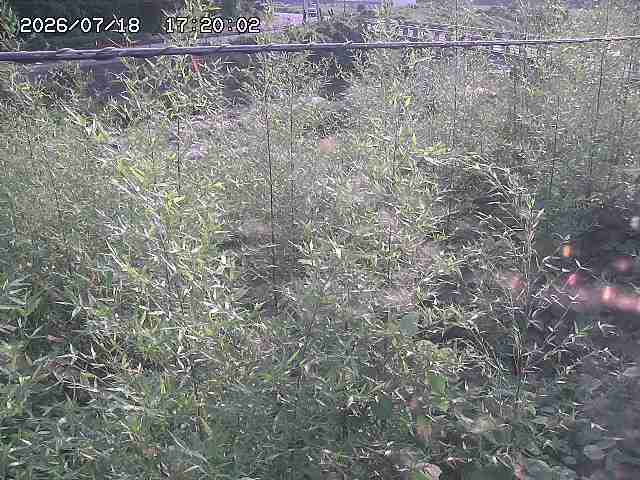 三徳川２2026/07/18 20:40:00