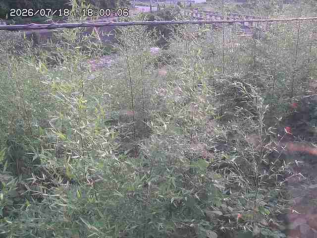三徳川２2026/07/18 20:40:00