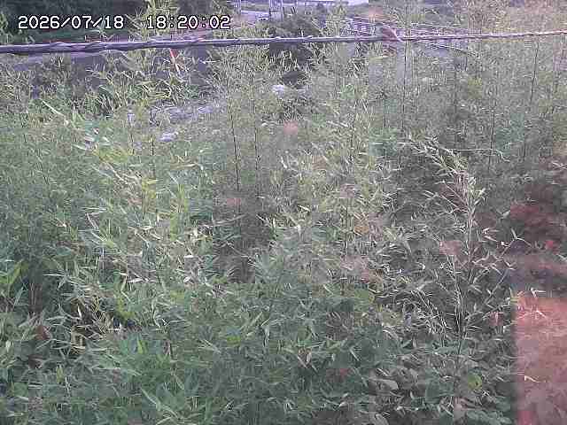 三徳川２2026/07/18 20:40:00