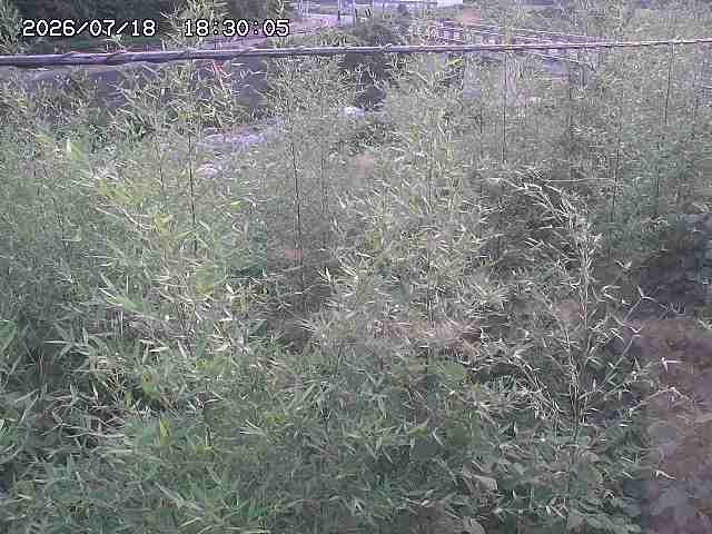 三徳川２2026/07/18 20:40:00