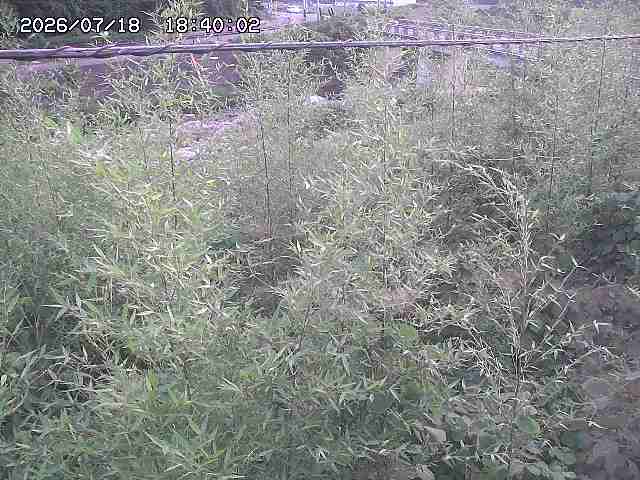 三徳川２2026/07/18 20:40:00