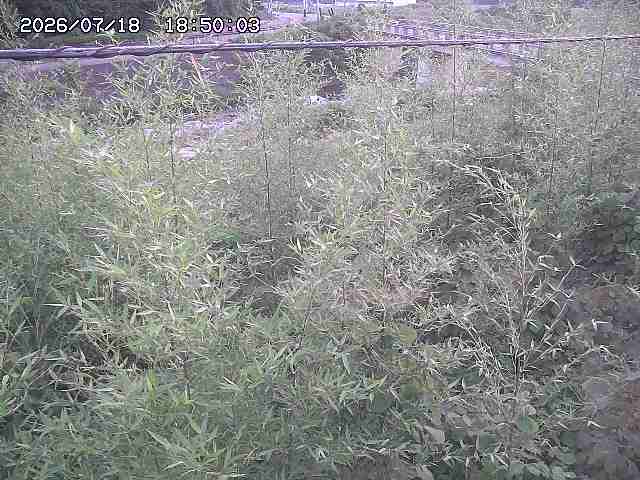 三徳川２2026/07/18 20:40:00