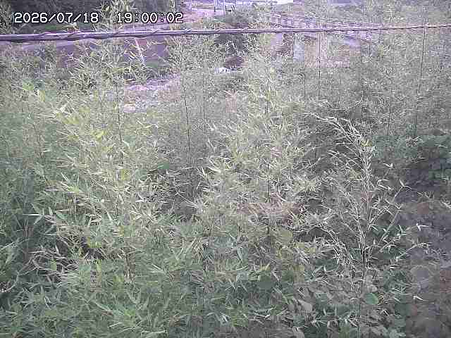 三徳川２2026/07/18 20:40:00