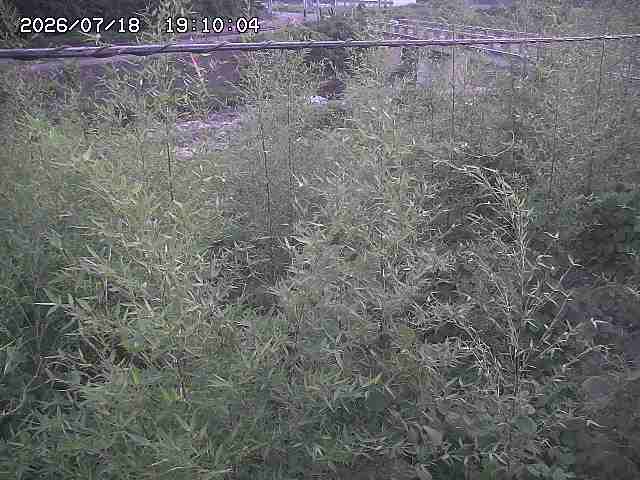三徳川２2026/07/18 20:40:00