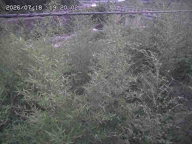 三徳川２2026/07/18 20:40:00