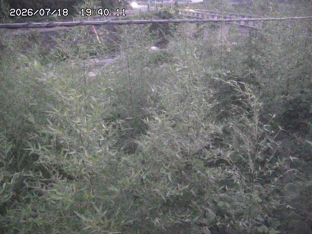 三徳川２2026/07/18 20:40:00