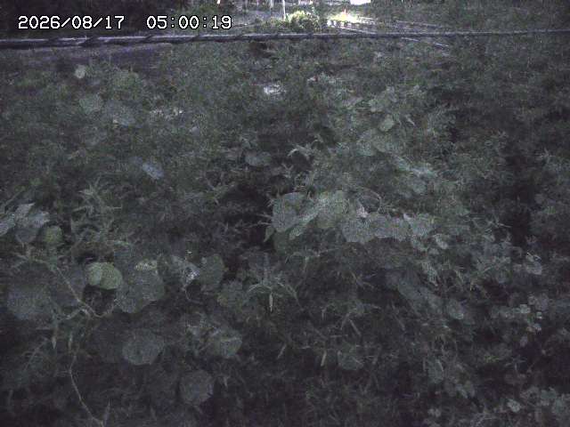 三徳川２2026/08/17 20:40:00
