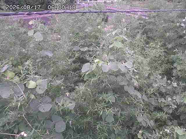 三徳川２2026/08/17 20:40:00