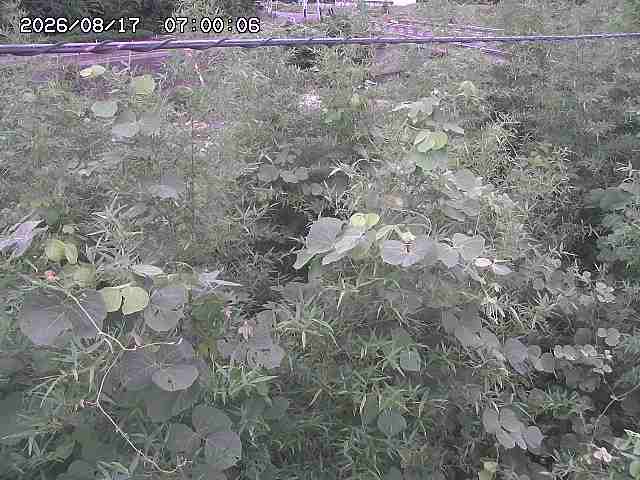 三徳川２2026/08/17 20:40:00