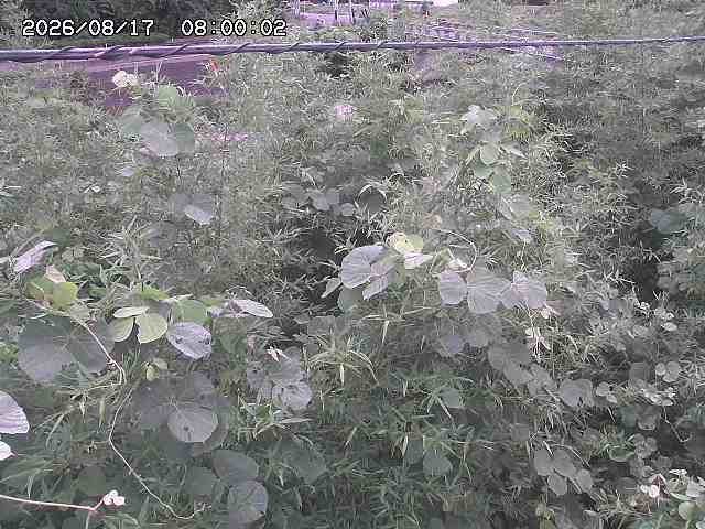 三徳川２2026/08/17 20:40:00