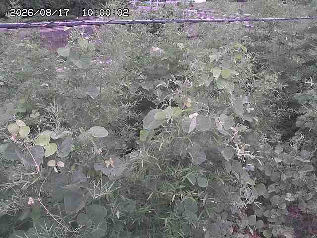 三徳川２2026/08/17 20:40:00
