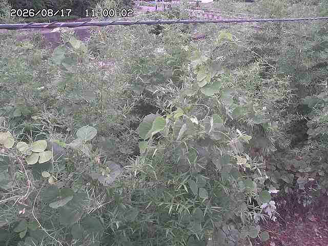 三徳川２2026/08/17 20:40:00