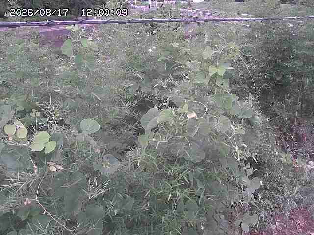 三徳川２2026/08/17 20:40:00