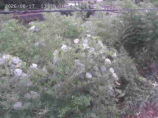 三徳川２2026/08/17 20:40:00