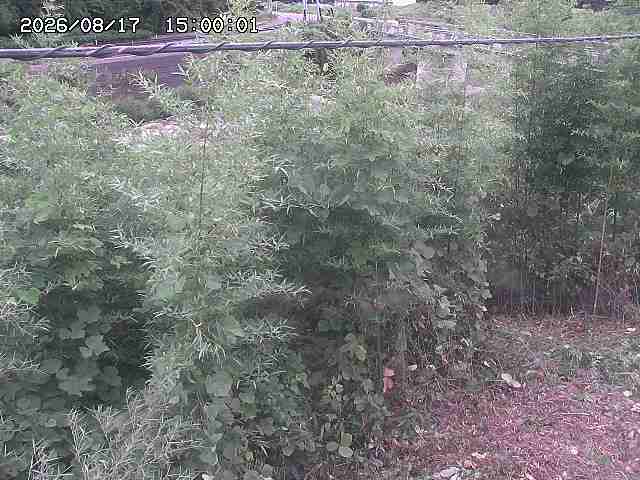 三徳川２2026/08/17 20:40:00