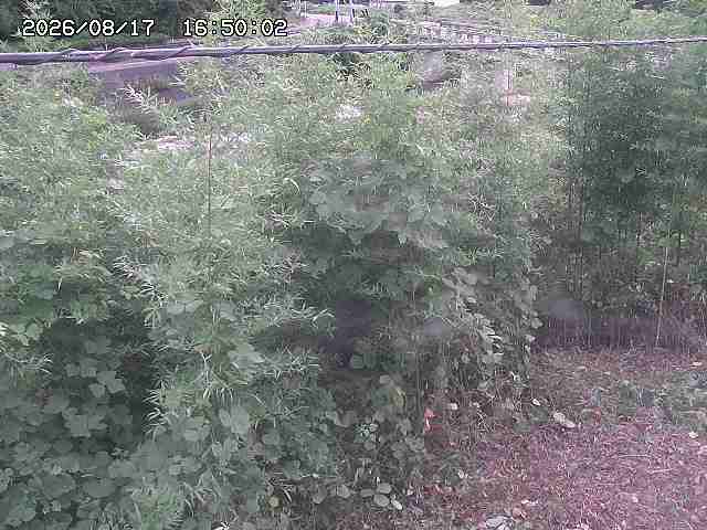 三徳川２2026/08/17 20:40:00