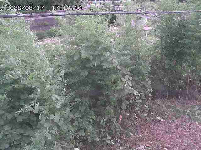 三徳川２2026/08/17 20:40:00