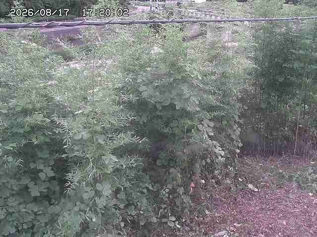 三徳川２2026/08/17 20:40:00