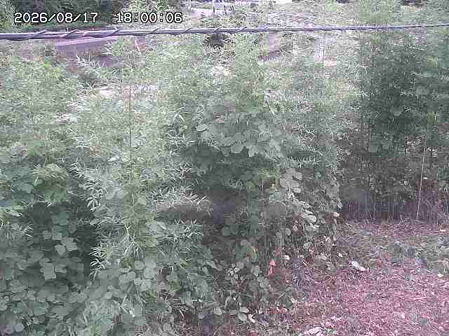 三徳川２2026/08/17 20:40:00