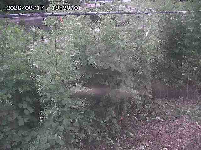 三徳川２2026/08/17 20:40:00