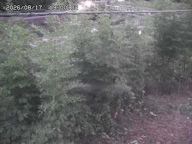 三徳川２2026/08/17 20:40:00