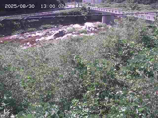 三徳川２2025/08/31 9:20:00