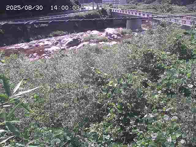 三徳川２2025/08/31 9:20:00
