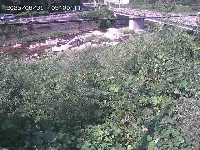三徳川２2025/08/31 9:20:00