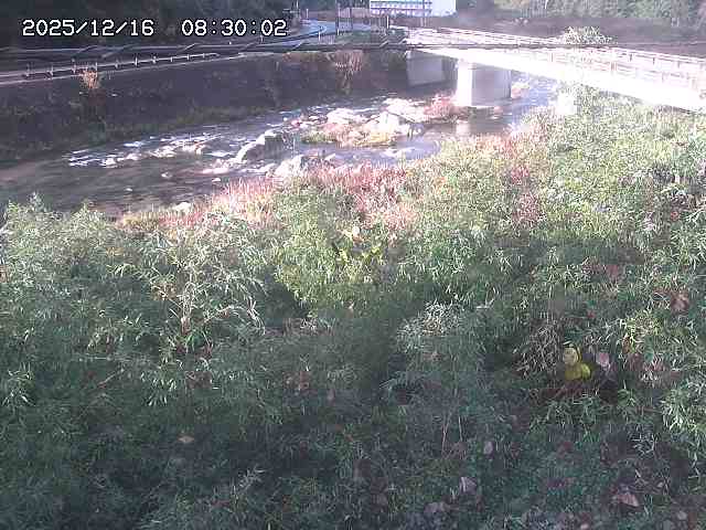 三徳川２2025/12/16 8:50:00