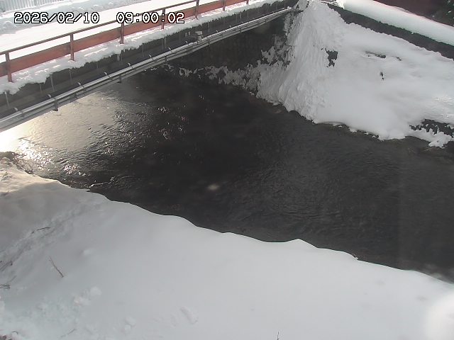 見槻川１2026/02/11 3:00:00