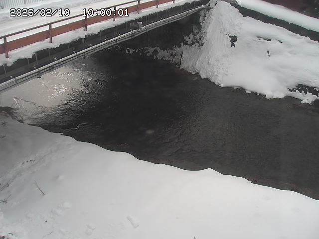 見槻川１2026/02/11 3:00:00