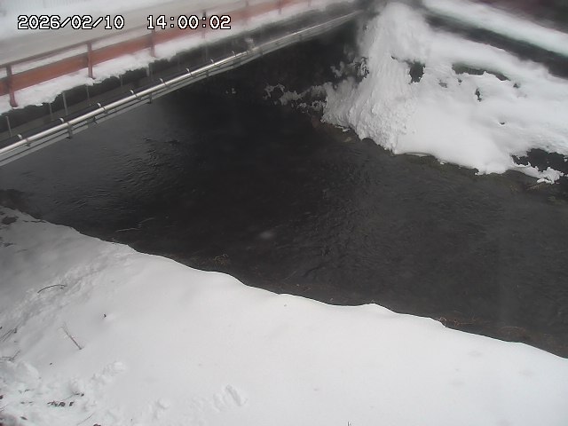 見槻川１2026/02/11 3:00:00