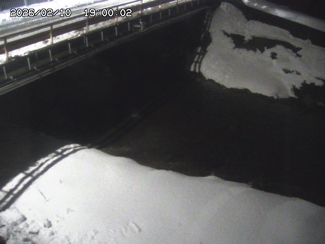 見槻川１2026/02/11 3:00:00