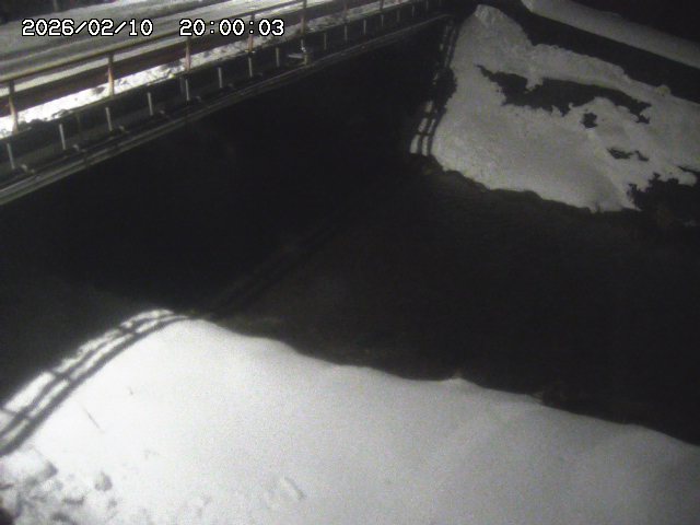 見槻川１2026/02/11 3:00:00