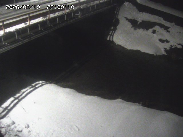 見槻川１2026/02/11 3:00:00