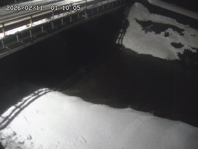 見槻川１2026/02/11 3:00:00