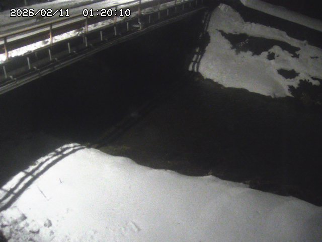 見槻川１2026/02/11 3:00:00