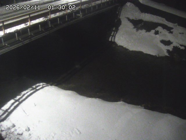 見槻川１2026/02/11 3:00:00