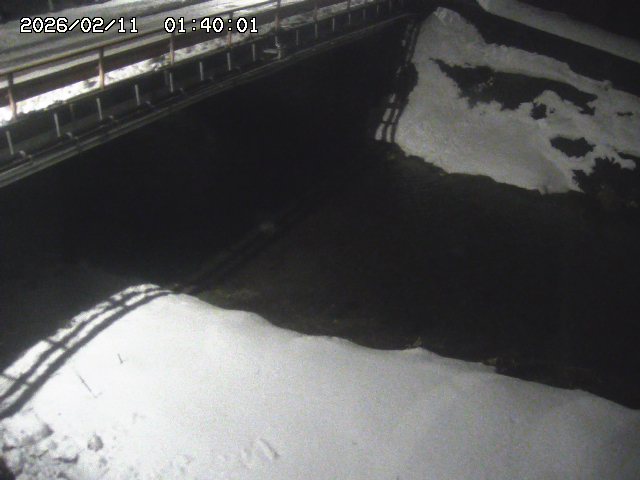 見槻川１2026/02/11 3:00:00