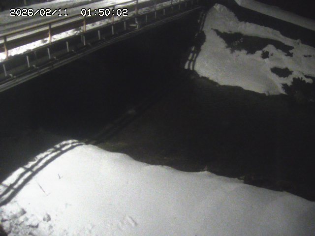 見槻川１2026/02/11 3:00:00