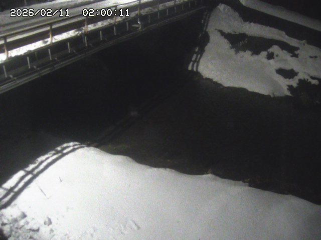 見槻川１2026/02/11 3:00:00